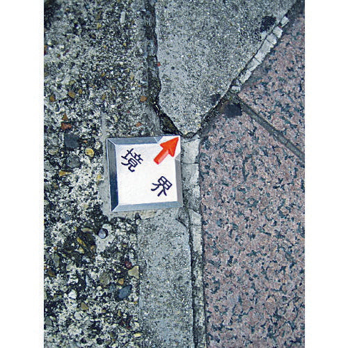 トラスコ中山（TRUSCO）　クリアーライン 埋込式 （3枚入）　【品番：TCL-20】