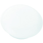 トラスコ中山（TRUSCO）　カラーマグネット（4個入） 白 40パイ　【品番：TCM-404-W】