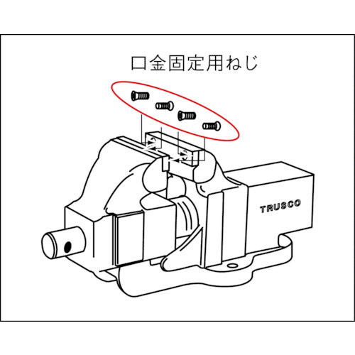 【メール便対応】トラスコ中山（TRUSCO）　TDWV-165用口金固定ネジ 6個セット　【品番：TDWV-165NS】