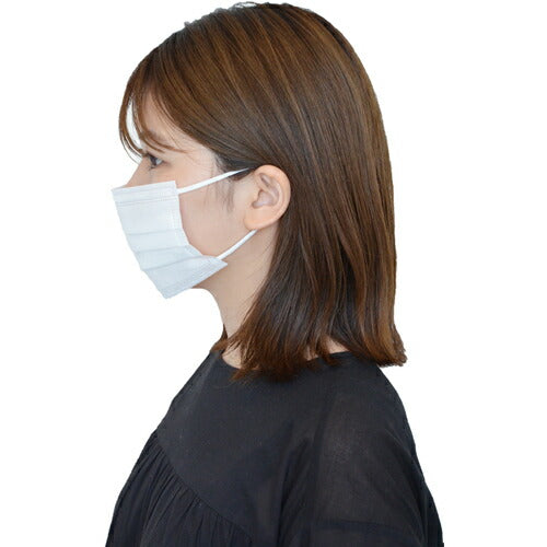 トラスコ中山（TRUSCO）　デイリーマスク（耳掛けタイプ）3層（50枚入）　【品番：DPM-DM95】●
