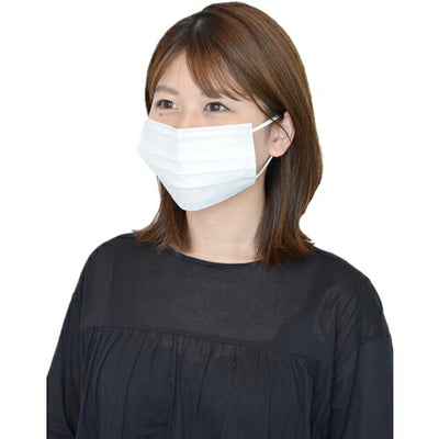 トラスコ中山（TRUSCO）　デイリーマスク（耳掛けタイプ）3層（50枚入）　【品番：DPM-DM95】●